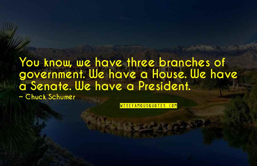 We Quotes By Chuck Schumer: You know, we have three branches of government. We Quotes By Chuck Schumer: You know, we have three branches of government.