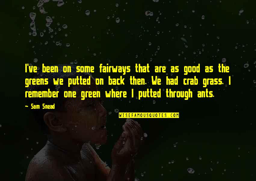 We Remember Quotes By Sam Snead: I've been on some fairways that are as We Remember Quotes By Sam Snead: I've been on some fairways that are as