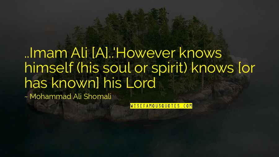 We Rise By Lifting Others Similar Quotes By Mohammad Ali Shomali: ..Imam Ali [A]..'However knows himself (his soul or