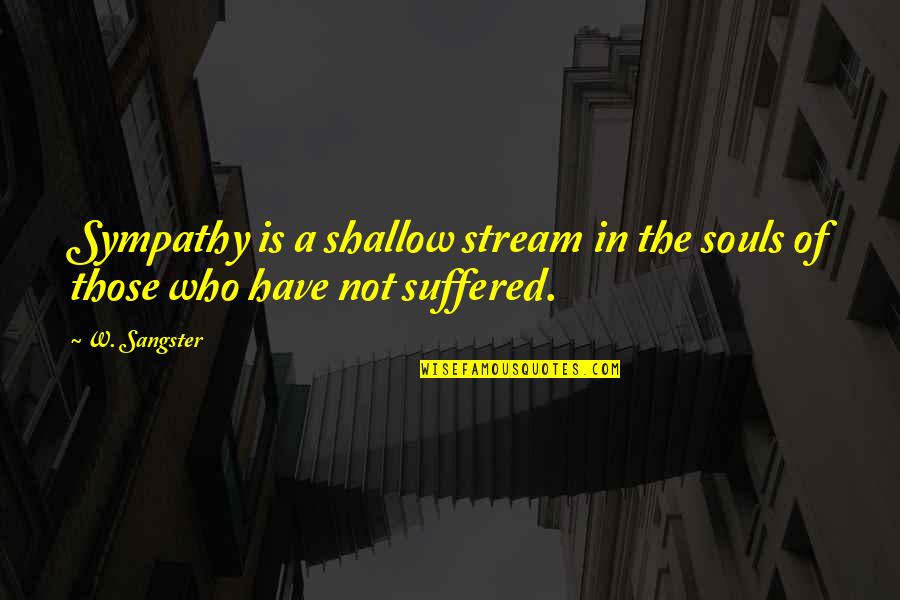 We Sangster Quotes By W. Sangster: Sympathy is a shallow stream in the souls