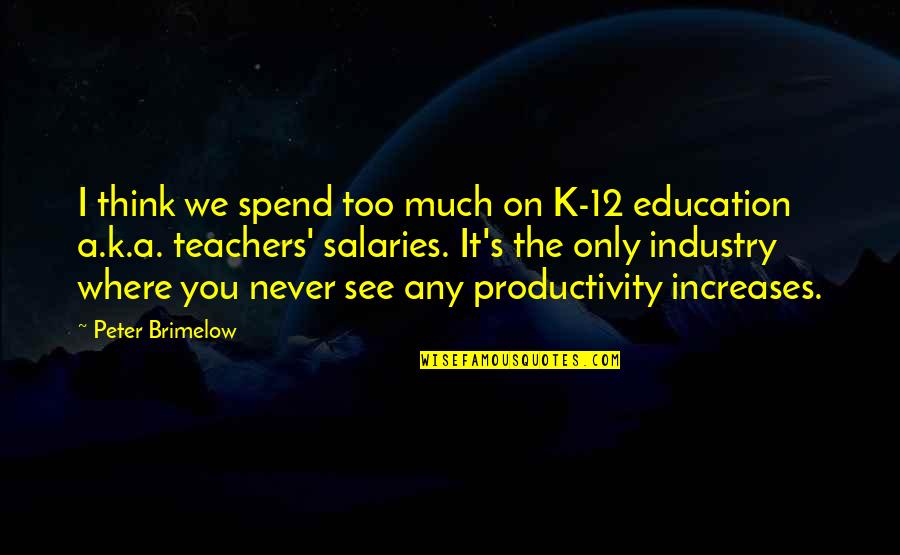 We See You Quotes By Peter Brimelow: I think we spend too much on K-12 We See You Quotes By Peter Brimelow: I think we spend too much on K-12