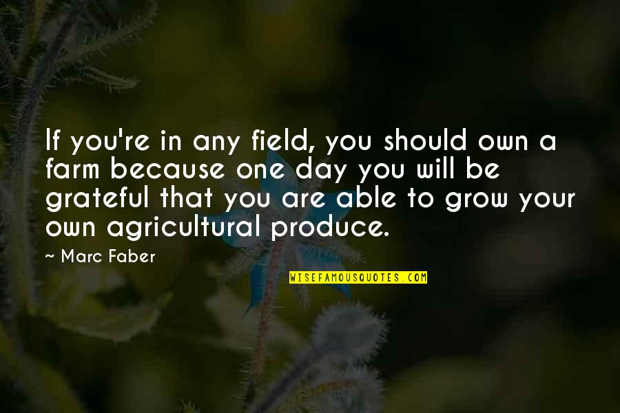 We Should Be Grateful Quotes By Marc Faber: If you're in any field, you should own