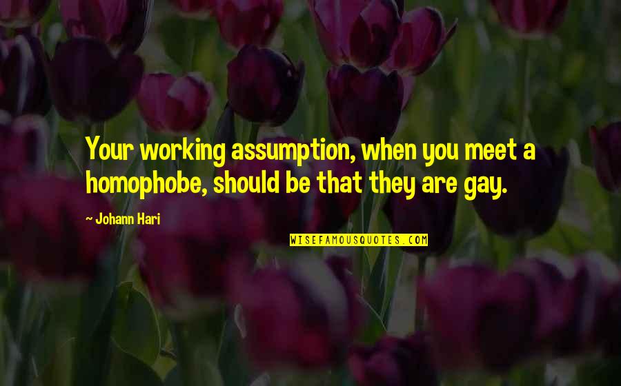 We Should Meet Quotes By Johann Hari: Your working assumption, when you meet a homophobe,