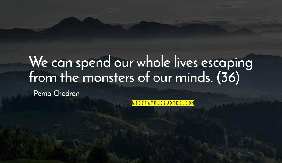 We Spend Our Lives Quotes By Pema Chodron: We can spend our whole lives escaping from