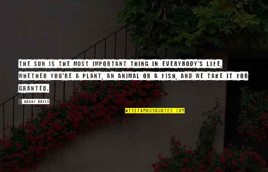 We Take Life For Granted Quotes By Danny Boyle: The sun is the most important thing in We Take Life For Granted Quotes By Danny Boyle: The sun is the most important thing in