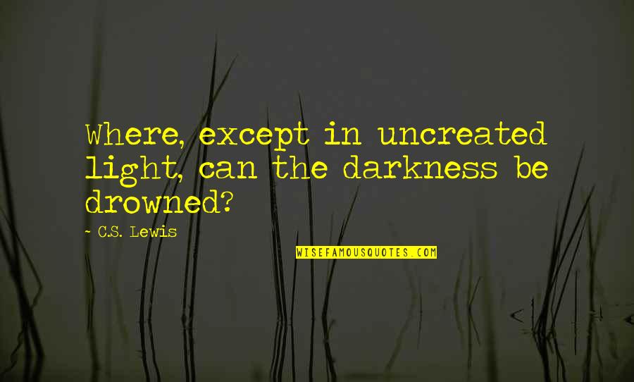 We The Drowned Quotes By C.S. Lewis: Where, except in uncreated light, can the darkness