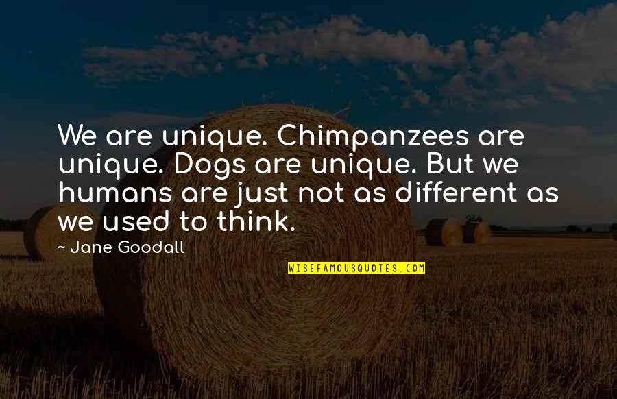 We Think Different Quotes By Jane Goodall: We are unique. Chimpanzees are unique. Dogs are