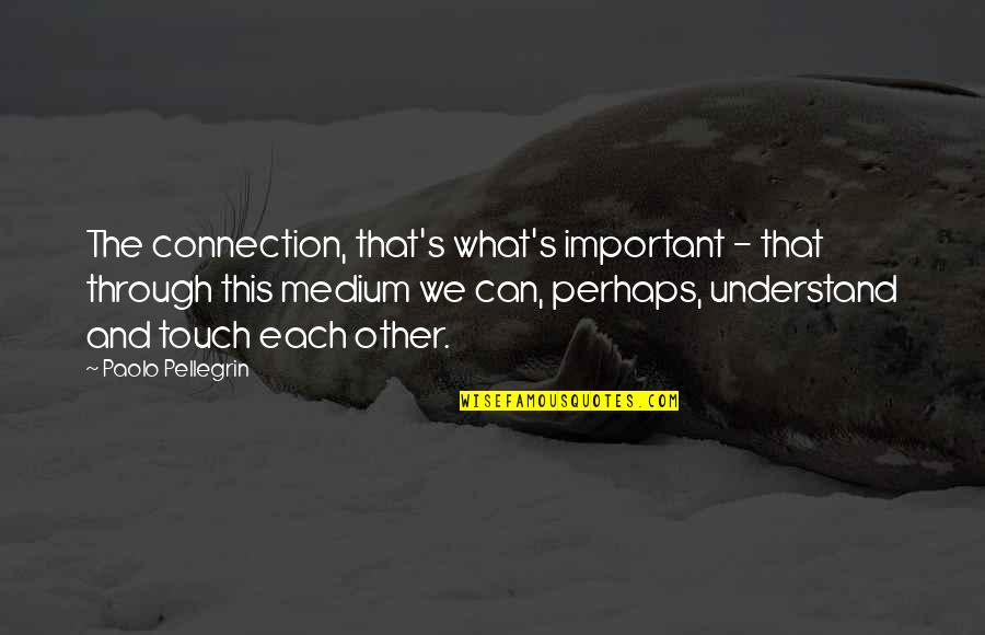 We Touch Quotes By Paolo Pellegrin: The connection, that's what's important - that through We Touch Quotes By Paolo Pellegrin: The connection, that's what's important - that through