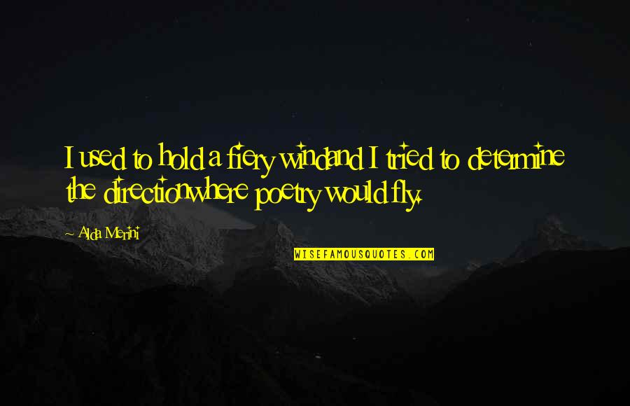 We Tried Our Best Quotes By Alda Merini: I used to hold a fiery windand I We Tried Our Best Quotes By Alda Merini: I used to hold a fiery windand I