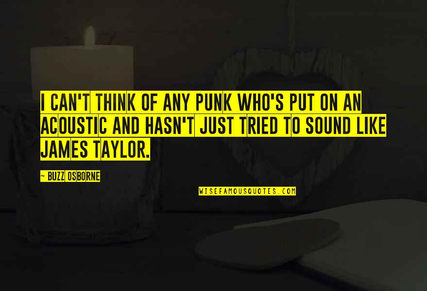 We Tried Our Best Quotes By Buzz Osborne: I can't think of any punk who's put We Tried Our Best Quotes By Buzz Osborne: I can't think of any punk who's put