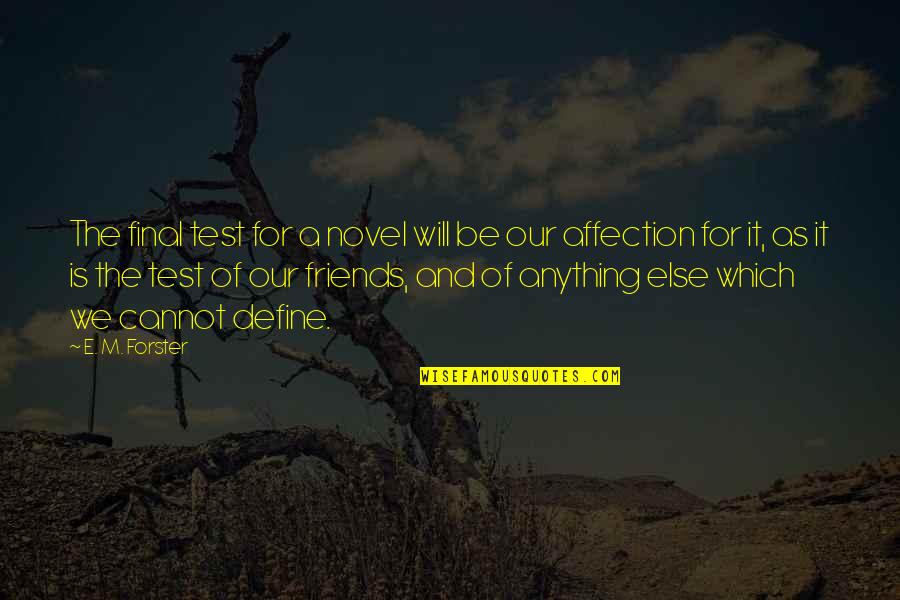 We Will Be Friends Quotes By E. M. Forster: The final test for a novel will be