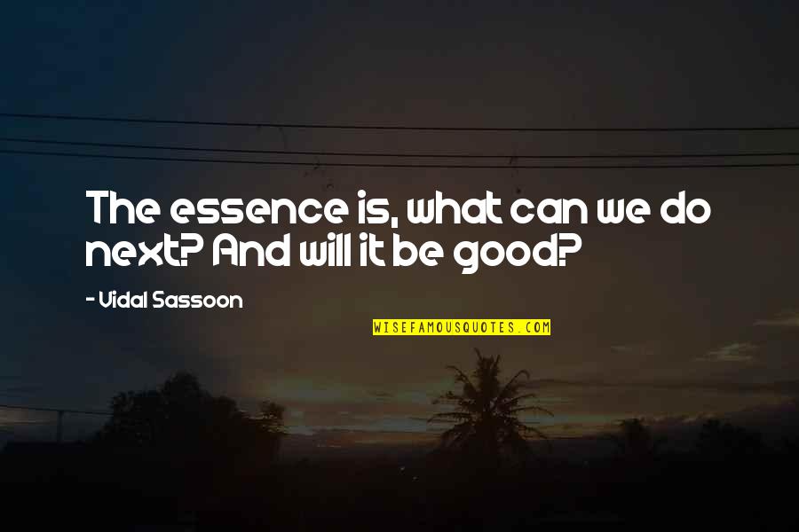 We Will Do It Quotes By Vidal Sassoon: The essence is, what can we do next?