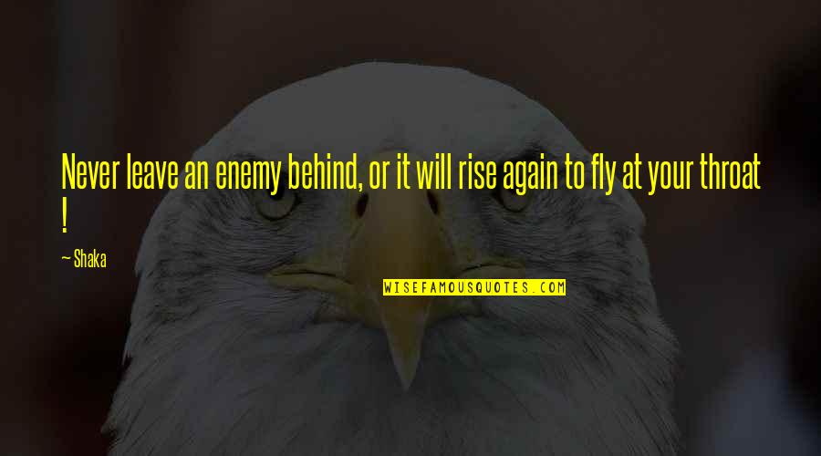 We Will Fly Again Quotes By Shaka: Never leave an enemy behind, or it will