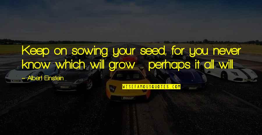 We Will Never Grow Up Quotes By Albert Einstein: Keep on sowing your seed, for you never