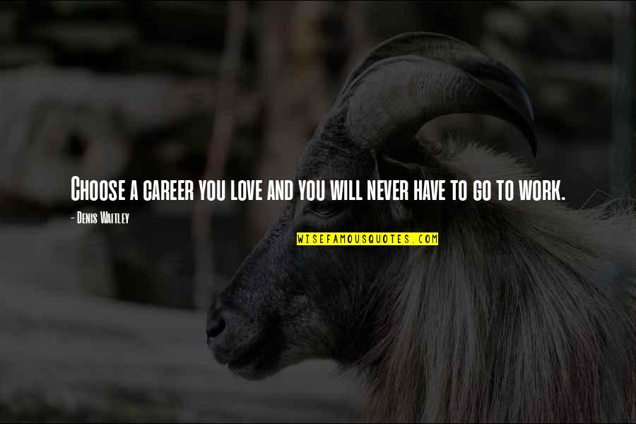 We Will Never Work Quotes By Denis Waitley: Choose a career you love and you will