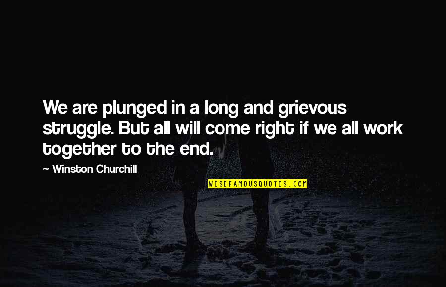 We Will Together Quotes By Winston Churchill: We are plunged in a long and grievous