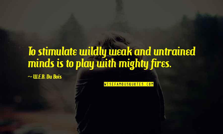Weak Minds Quotes By W.E.B. Du Bois: To stimulate wildly weak and untrained minds is