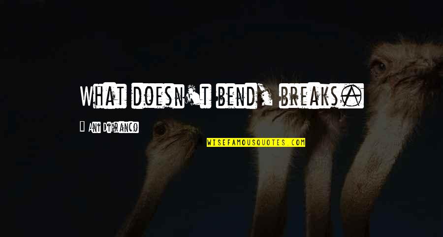 Weakest Moments Quotes By Ani DiFranco: What doesn't bend, breaks.