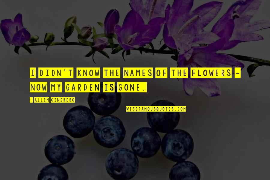 Wealth And Family Quotes By Allen Ginsberg: I didn't know the names of the flowers Wealth And Family Quotes By Allen Ginsberg: I didn't know the names of the flowers
