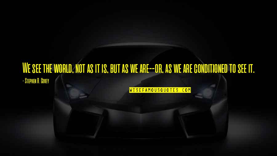 Wealth Building Quotes By Stephen R. Covey: We see the world, not as it is,