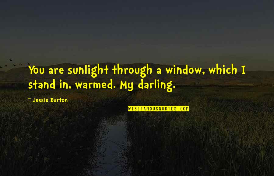 Wealth Distribution Quotes By Jessie Burton: You are sunlight through a window, which I