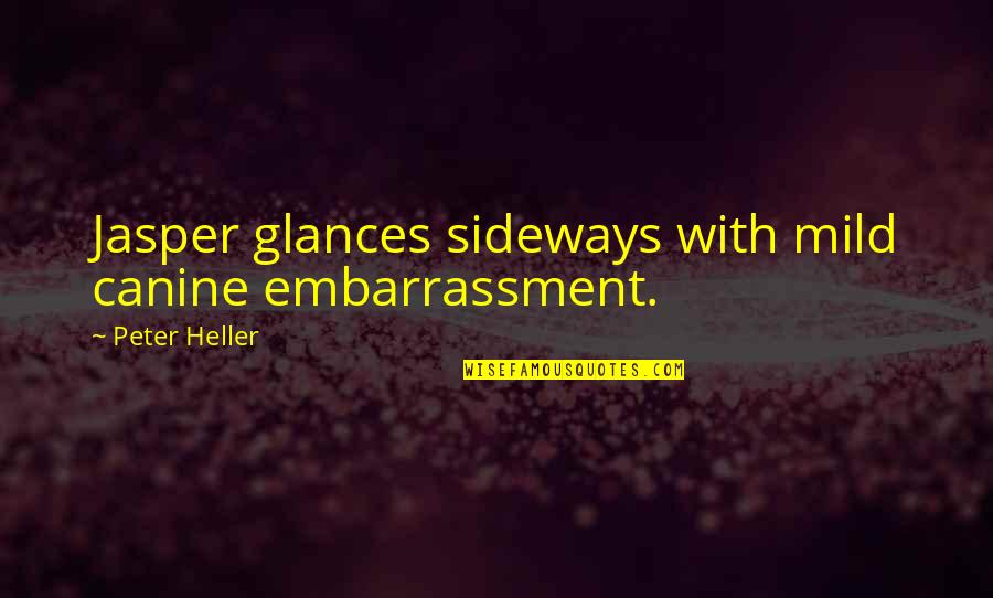 Wealth Of Nation Quotes By Peter Heller: Jasper glances sideways with mild canine embarrassment. Wealth Of Nation Quotes By Peter Heller: Jasper glances sideways with mild canine embarrassment.