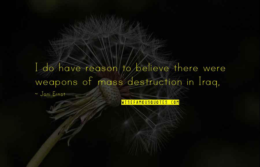 Weapons Of Mass Destruction Quotes By Joni Ernst: I do have reason to believe there were