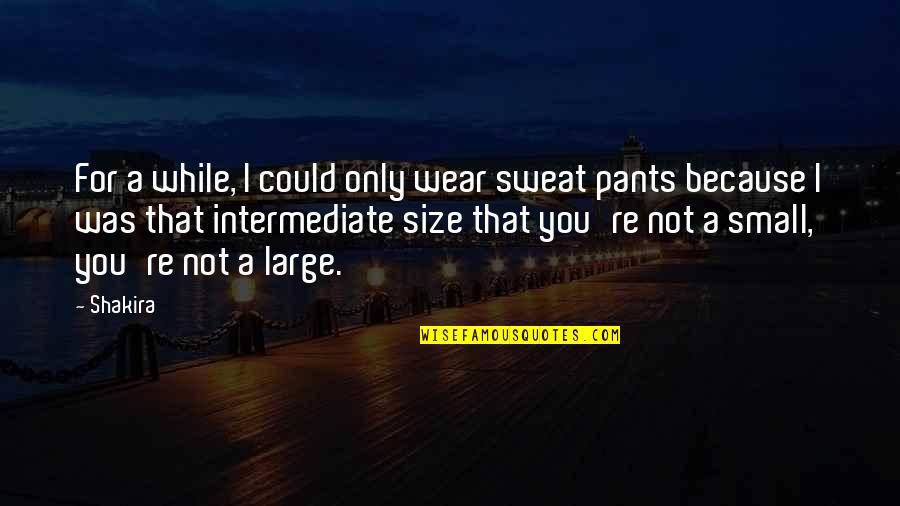 Wear The Pants Quotes By Shakira: For a while, I could only wear sweat