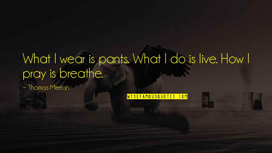 Wear The Pants Quotes By Thomas Merton: What I wear is pants. What I do