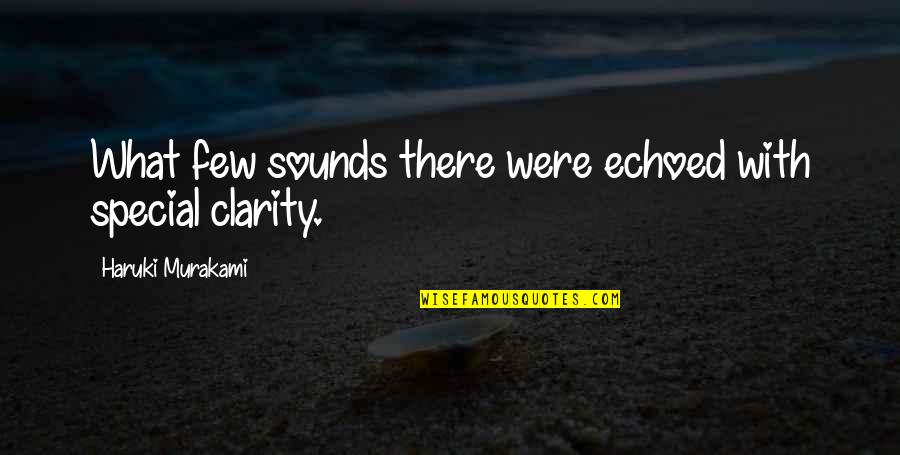 Wearing Sunglass Quotes By Haruki Murakami: What few sounds there were echoed with special
