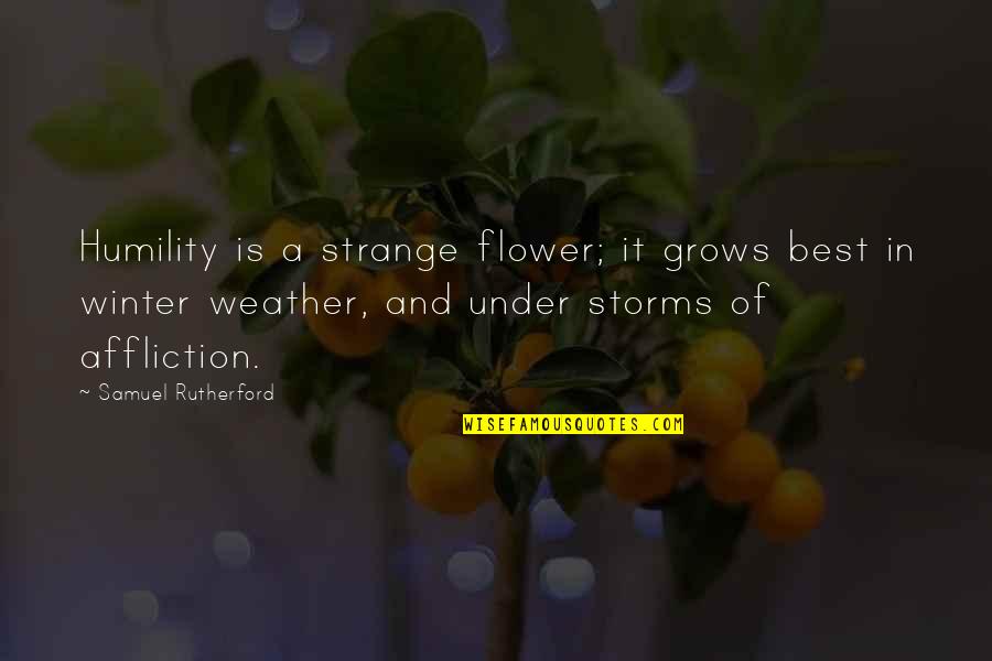 Weather Storms Quotes By Samuel Rutherford: Humility is a strange flower; it grows best