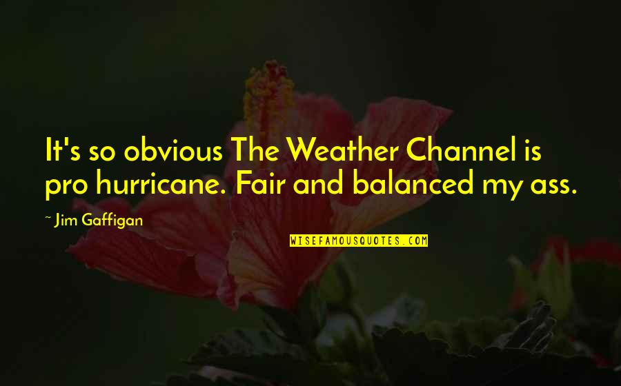 Weather The Quotes By Jim Gaffigan: It's so obvious The Weather Channel is pro