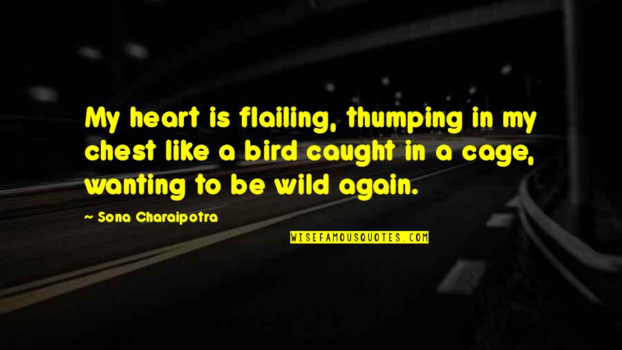 Weatherhead Young Quotes By Sona Charaipotra: My heart is flailing, thumping in my chest Weatherhead Young Quotes By Sona Charaipotra: My heart is flailing, thumping in my chest