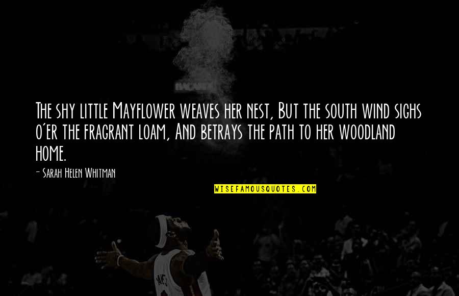 Weaves Quotes By Sarah Helen Whitman: The shy little Mayflower weaves her nest, But