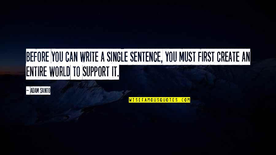 Webcam Quotes By Adam Santo: Before you can write a single sentence, you