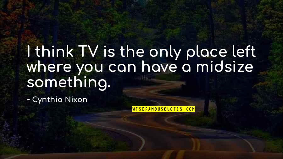 Website Coming Soon Quotes By Cynthia Nixon: I think TV is the only place left