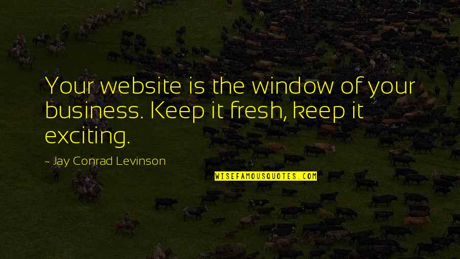 Website Quotes By Jay Conrad Levinson: Your website is the window of your business.