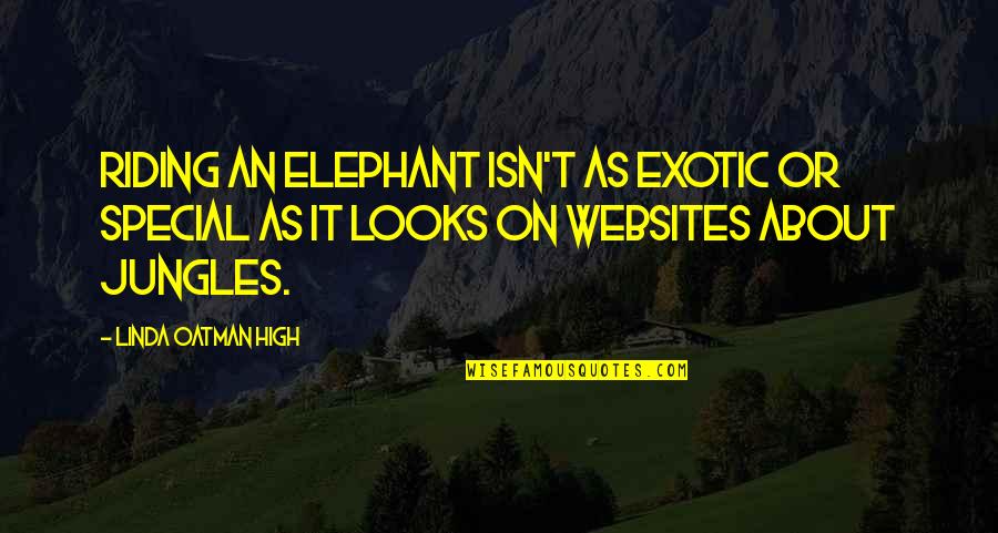 Websites For Quotes By Linda Oatman High: Riding an elephant isn't as exotic or special