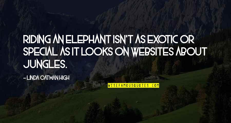 Websites Quotes By Linda Oatman High: Riding an elephant isn't as exotic or special