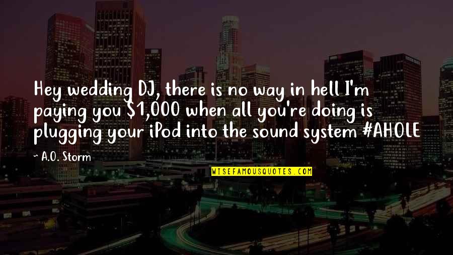 Wedding Dj Quotes By A.O. Storm: Hey wedding DJ, there is no way in