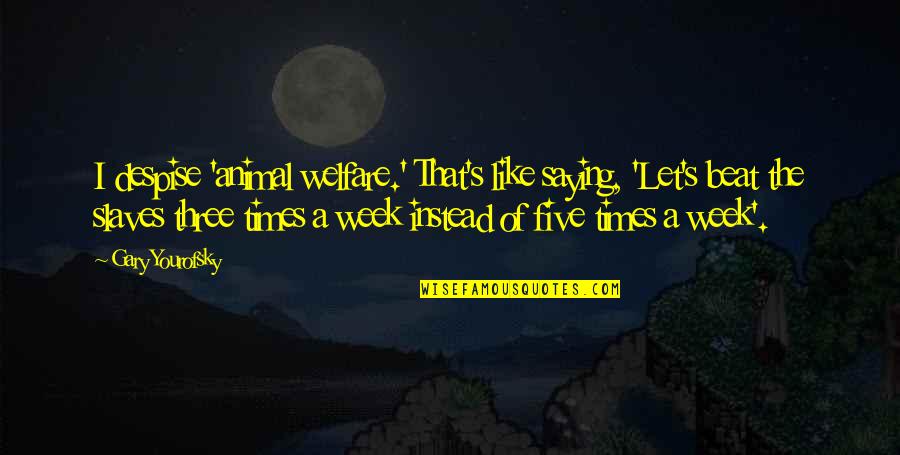 Wedding Video Price Quotes By Gary Yourofsky: I despise 'animal welfare.' That's like saying, 'Let's