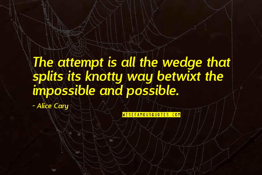 Wedge Quotes By Alice Cary: The attempt is all the wedge that splits