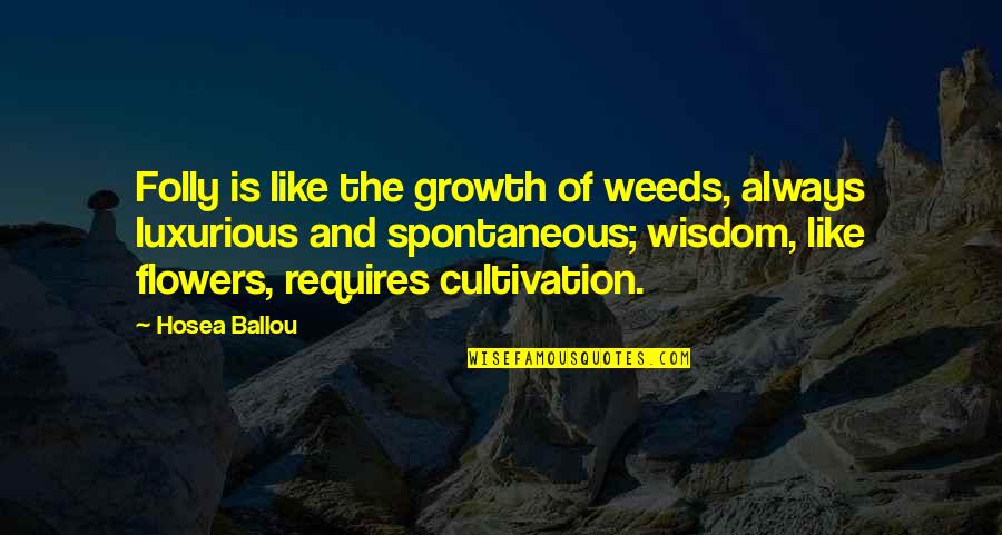Weed And Flower Quotes By Hosea Ballou: Folly is like the growth of weeds, always Weed And Flower Quotes By Hosea Ballou: Folly is like the growth of weeds, always