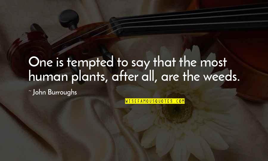 Weed Garden Quotes By John Burroughs: One is tempted to say that the most