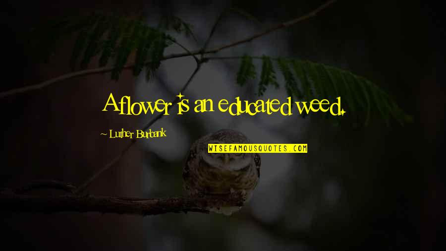 Weed Garden Quotes By Luther Burbank: A flower is an educated weed. Weed Garden Quotes By Luther Burbank: A flower is an educated weed.