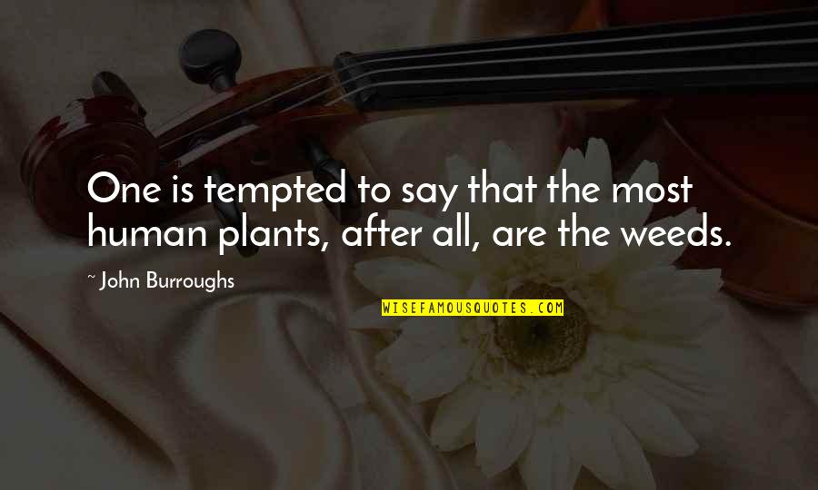 Weed Plants Quotes By John Burroughs: One is tempted to say that the most