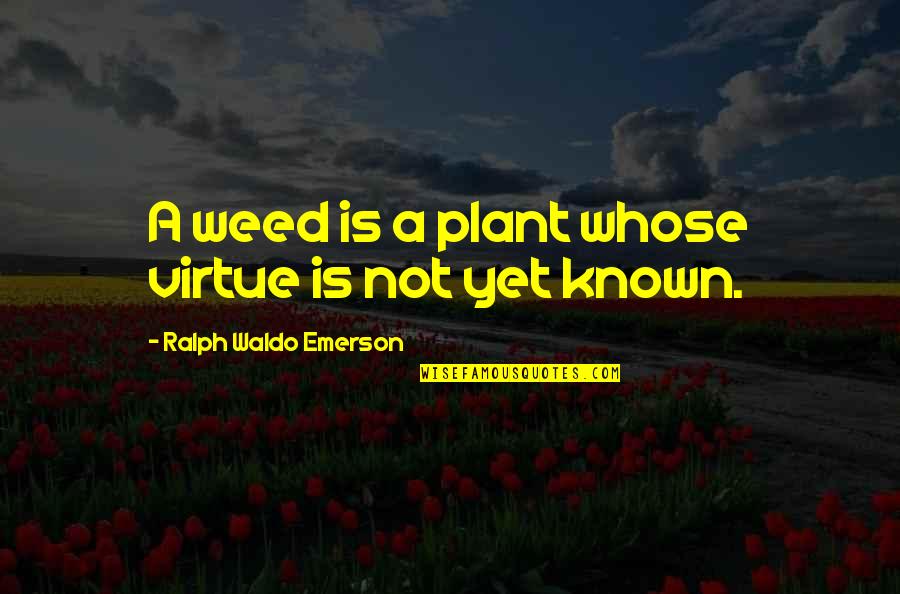 Weed Quotes By Ralph Waldo Emerson: A weed is a plant whose virtue is