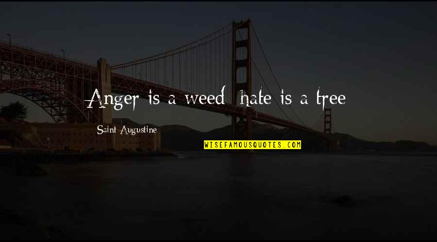 Weed Quotes By Saint Augustine: Anger is a weed; hate is a tree