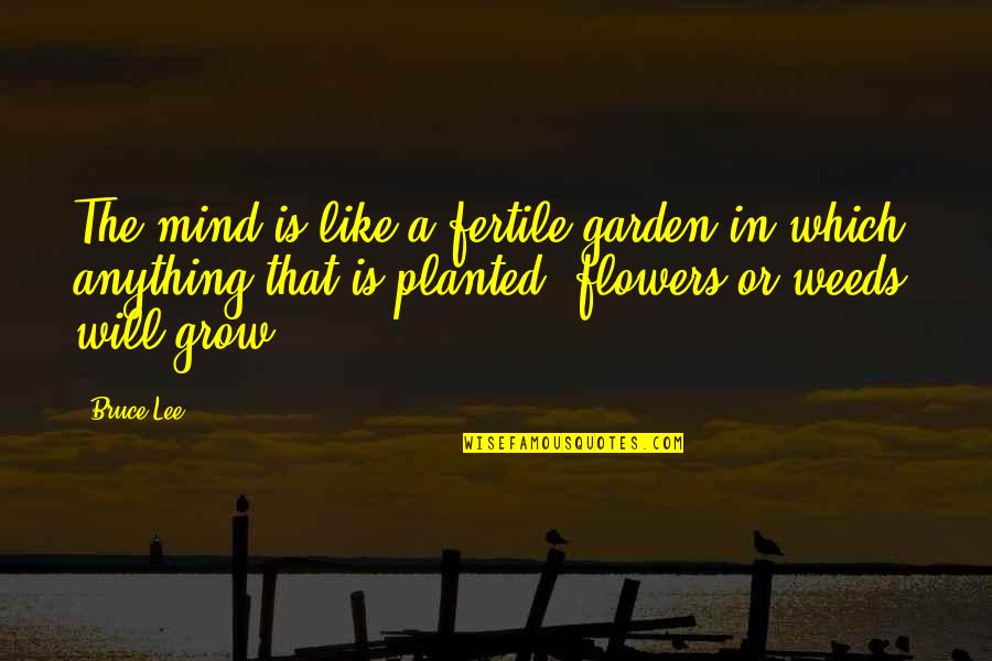 Weed Your Garden Quotes By Bruce Lee: The mind is like a fertile garden in