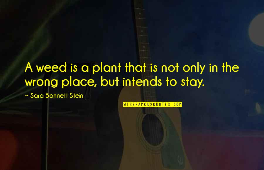 Weed Your Garden Quotes By Sara Bonnett Stein: A weed is a plant that is not